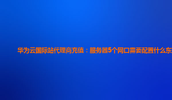 华为云国际站代理商充值：服务器5个网口需要配置什么东西