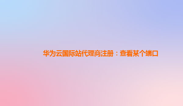 华为云国际站代理商注册：查看某个端口