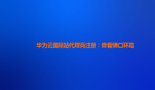 华为云国际站代理商注册：查看端口环路