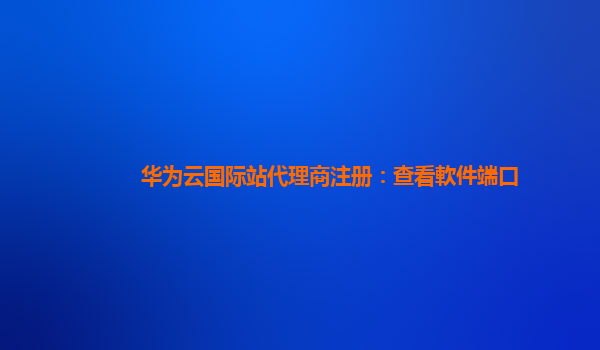 华为云国际站代理商注册：查看軟件端口