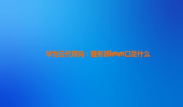华为云代理商：服务器imm口是什么