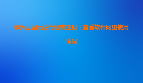 华为云国际站代理商注册：查看软件网络使用情况