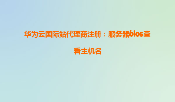 华为云国际站代理商注册：服务器bios查看主机名