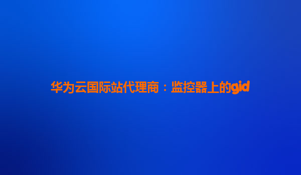 华为云国际站代理商：监控器上的gid