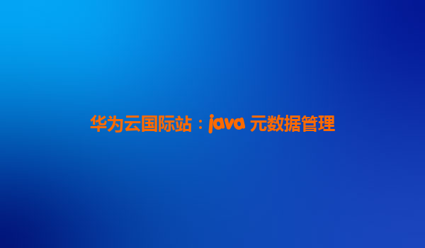 华为云国际站：java 元数据管理