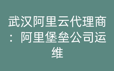武汉阿里云代理商：阿里堡垒公司运维