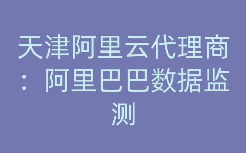 天津阿里云代理商：阿里巴巴数据监测