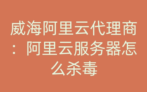 威海阿里云代理商：阿里云服务器怎么杀毒