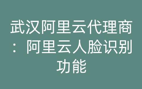 武汉阿里云代理商：阿里云人脸识别功能