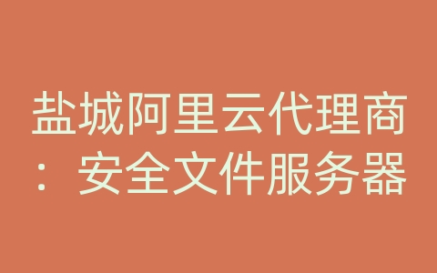 盐城阿里云代理商：安全文件服务器