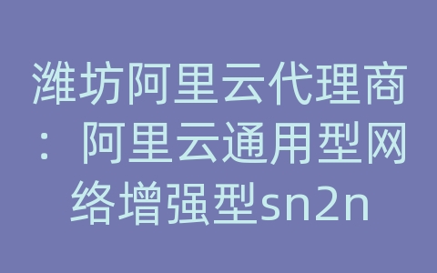 潍坊阿里云代理商：阿里云通用型网络增强型sn2ne服务器