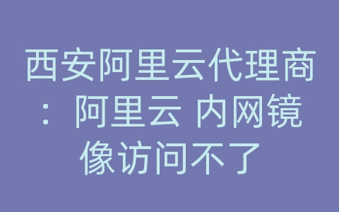 西安阿里云代理商：阿里云 内网镜像访问不了