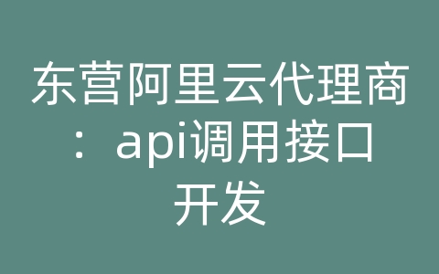 东营阿里云代理商：api调用接口开发