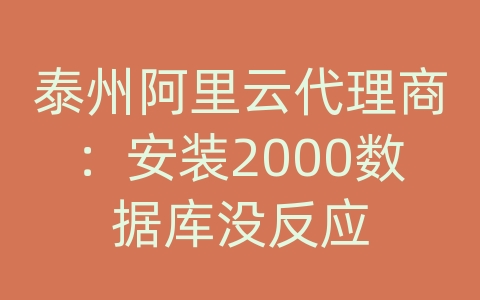 泰州阿里云代理商：安装2000数据库没反应