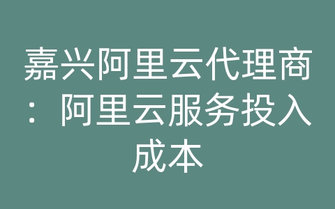 嘉兴阿里云代理商：阿里云服务投入成本