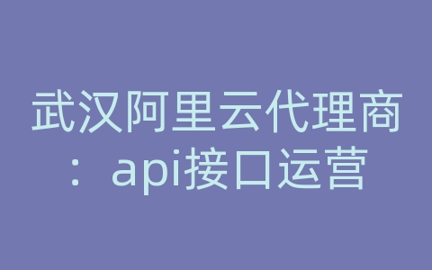 武汉阿里云代理商：api接口运营
