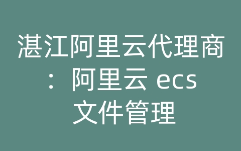 湛江阿里云代理商：阿里云 ecs 文件管理