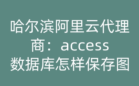 哈尔滨阿里云代理商：access数据库怎样保存图片吗