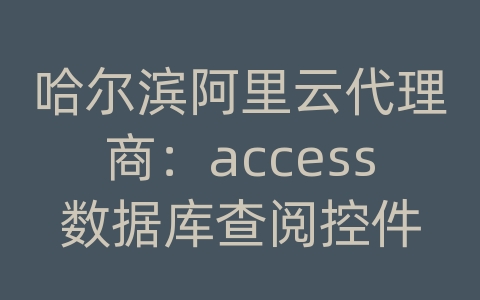 哈尔滨阿里云代理商：access数据库查阅控件