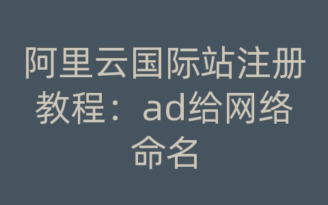 阿里云国际站注册教程：ad给网络命名
